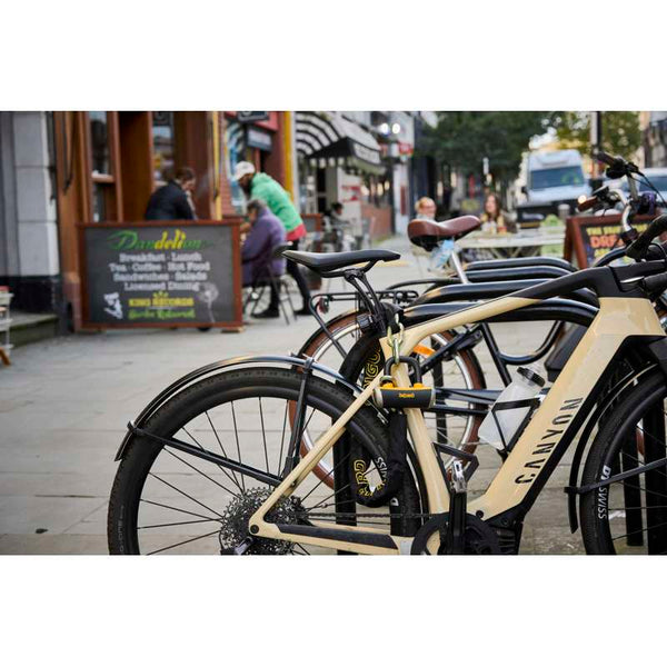 Mastiff 4.2' Chain with X4 Padlock